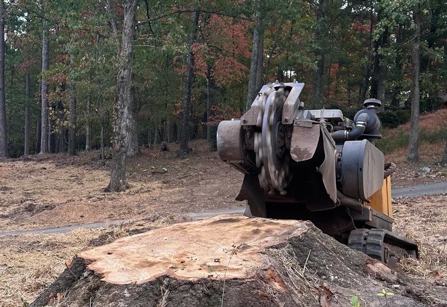 Fresh cut, machine in position — J&K stump grinding job photo